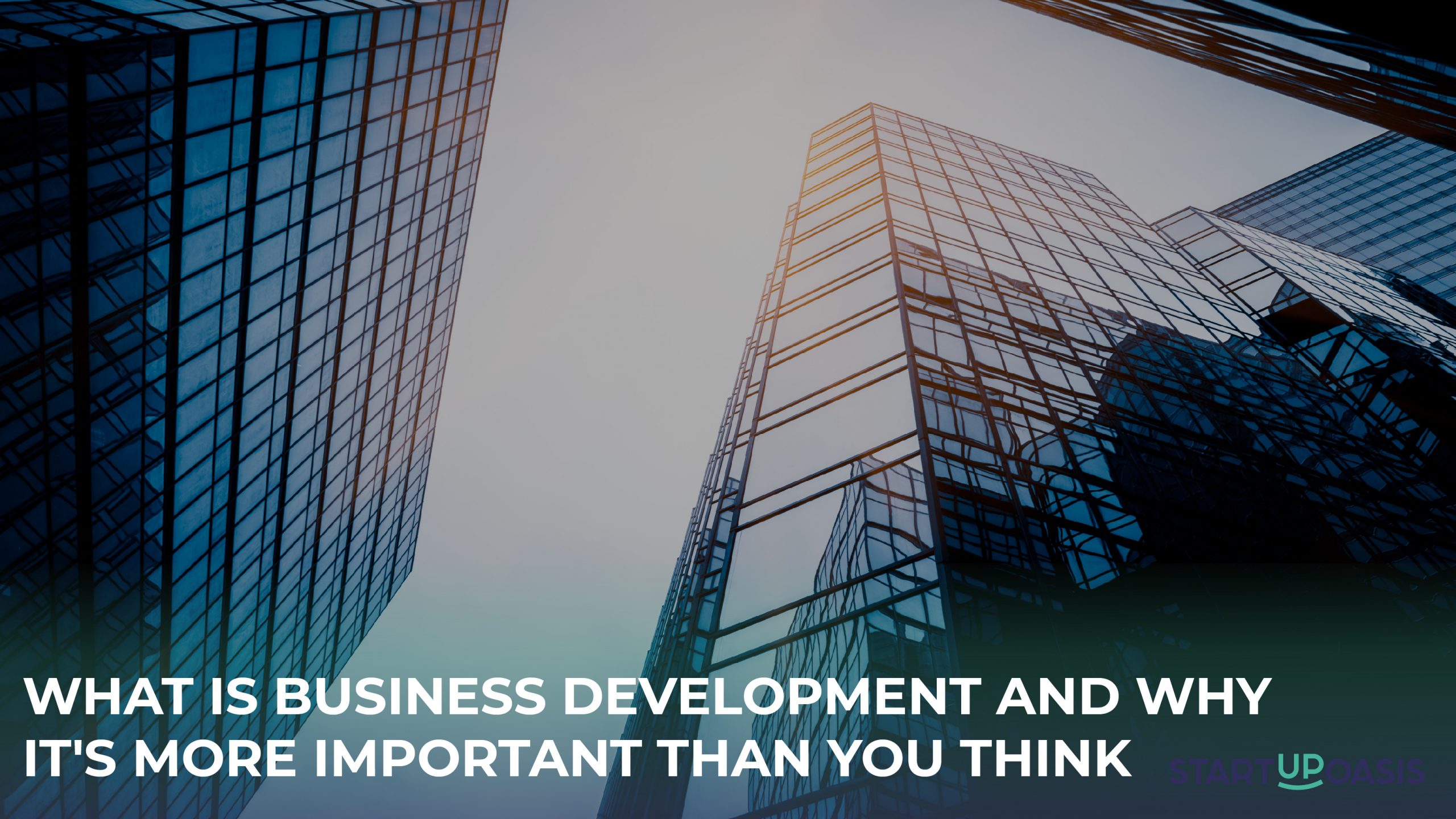 What is Business Development and Why It's More Important Than You Think